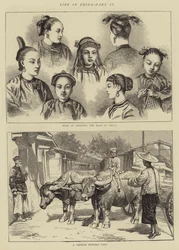 Life in China, Part IV